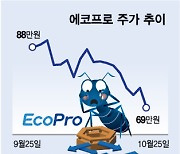 '악재 다음 악재' 2차전지 동반 하락…증권가 전망은?