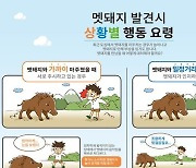 밤새 부산 곳곳 멧돼지 출몰, 새끼 3마리 사살