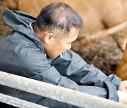 럼피스킨 백신 400만개 이달말까지 도입…내달 중 안정될 것