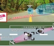 AI CCTV로 로드킬 막는다…한려해상공원 내 시범도입