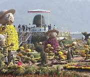 '10만 송이' 전국 최대 국화축제 28일 창원서 개막