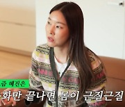 한혜진 "홍천 별장? 40대 나이→경제적 능력..타이밍 잘 맞아"[종합]