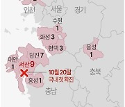 [그래픽] 소 럼피스킨병 확진 현황(종합)