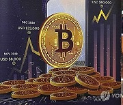 Bitcoin Price Surge