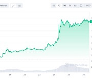 비트코인, ETF 기대감에 고공행진…연초 이후 수익률 100%