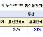 "올해 휴대폰 3.5% 오를 때 통신비는 0.2% 증가”…물가 품목 비교