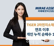 ‘TIGER 2차전지소재Fn ETF’ 올해 개인 누적 순매수 1위