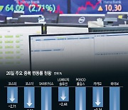 2300도 무너졌다…고꾸라지는 투심에 실적도 소용없네