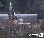 동물단체 "럼피스킨 소, 묻지마 살처분 반대…인도적 처리해야"