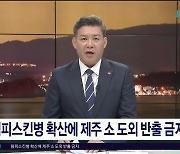 럼피스킨병 확산에 제주 소 도외 반출  금지