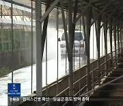 [전북의 창] 럼피스킨병 확산…임실군 등도 방역 총력