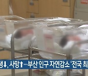 출생↓·사망↑…부산 인구 자연감소 ‘전국 최다’