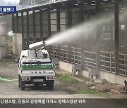 한우 고장 횡성서도 럼피스킨병 확진…강원도 내 두 번째