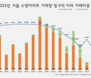 서울 소형 아파트 6억원 이하 거래 비중 역대 최저