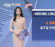 농림축산식품부, 소 럼피스킨병 발생·대응상황 (10.25) [브리핑 인사이트]