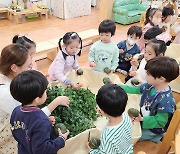 화성 영천유치원, 찾아오는 문화체험 ‘가을 한상 꾸미기’ [꿈꾸는 경기교육]