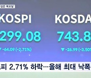 반도체·2차전지 급락…코스피 2.7% 빠져 2300도 붕괴