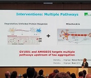 세계 석학 군터 호글링거 박사 “새로운 다중기전 PSP 신약후보물질”로 젬백스 GV1001 지목