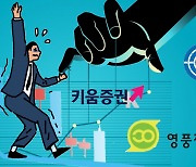 '영풍제지 하한가 사태' 거래재개하자 또 폭락…키움증권발 반대매매 공포 [투자360]