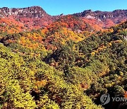 북한 묘향산 단풍