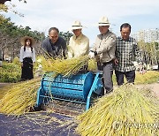 수도권·충남·호남 밤까지 비…강원영서·충북북부엔 새벽까지