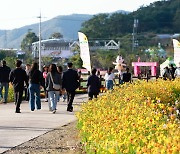 '화순 고인돌 가을꽃 축제' 30만명 찾아..11월 5일까지 일주일 연장