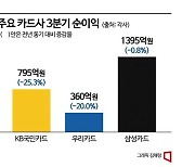 여전히 우울한 카드사들…순이익 줄줄이 감소