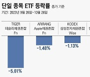 연금 계좌에 많이 편입됐는데 괜찮을까? 테슬라 단일 종목 ETF, 한 달 새 5%대 손실