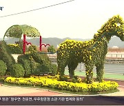 국화 축제·가을 군항제…‘만추의 여유를’