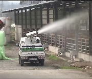 럼피스킨병 확산에 시장 문 닫고…울산도 긴장