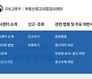 온라인 부동산 허위매물 적발…국토부 1만건 vs 민간기관 11만건