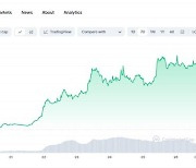 "비트코인보다 두 배 올라"…일주일 새 50% 뛴 코인은?