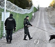 Finland Russia Border Fence