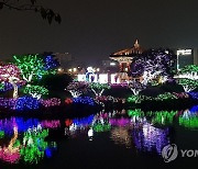 "서산 중앙호수공원에 밤마다 밝은 단풍"