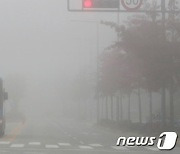 [오늘의 날씨]울산(28일, 토)…구름 많고, 아침 안개 유의