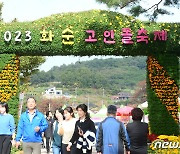 '화순 고인돌 가을꽃 축제' 1주일 연장…11월5일까지 관람