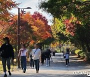 '마음을 물들이는 가을' 단풍으로 물든 천안 독립기념관