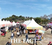 논산시 임기제 공무원, 젓갈축제 식당 운영 단체에 기부금 강요 논란