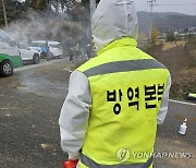 강원 양구 국토정중앙면 이어 해안면서도 럼피스킨병 발생