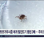 쯔쯔가무시증 매개 털진드기 평년 2배...주의 필요