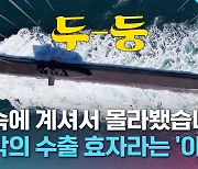 [크랩] 독일에서 기술 배워 30여 년 만에 수십조 원대 수주 노리는 K-잠수함 근황