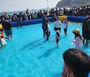 "부산 시어 고등어, 송도바다에서 맛보고 싸게 사가이소“