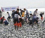 [여행픽] 벌교꼬막·부산고등어 ·이천인삼... 먹거리 축제 개막