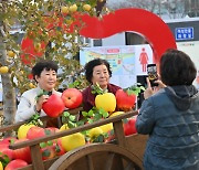 경북의 맛과 흥, 11월 수놓는다…“농산물 축제 만끽하세요”