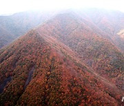 울산 가끔 구름 많음…큰 일교차 주의