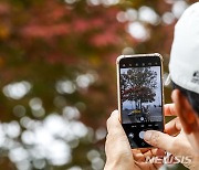 충북 맑고 큰 일교차…낮 최고 20도