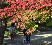 일교차 큰 주말…전북 낮 18~21도 '맑음'