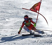 AUSTRIA ALPINE SKIING