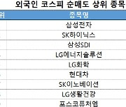 코스피 주간 외국인 순매도 1위 '삼성전자'