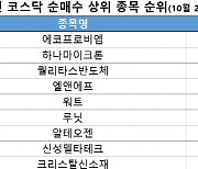 코스닥 주간 개인 순매수 1위 ‘에코프로비엠’